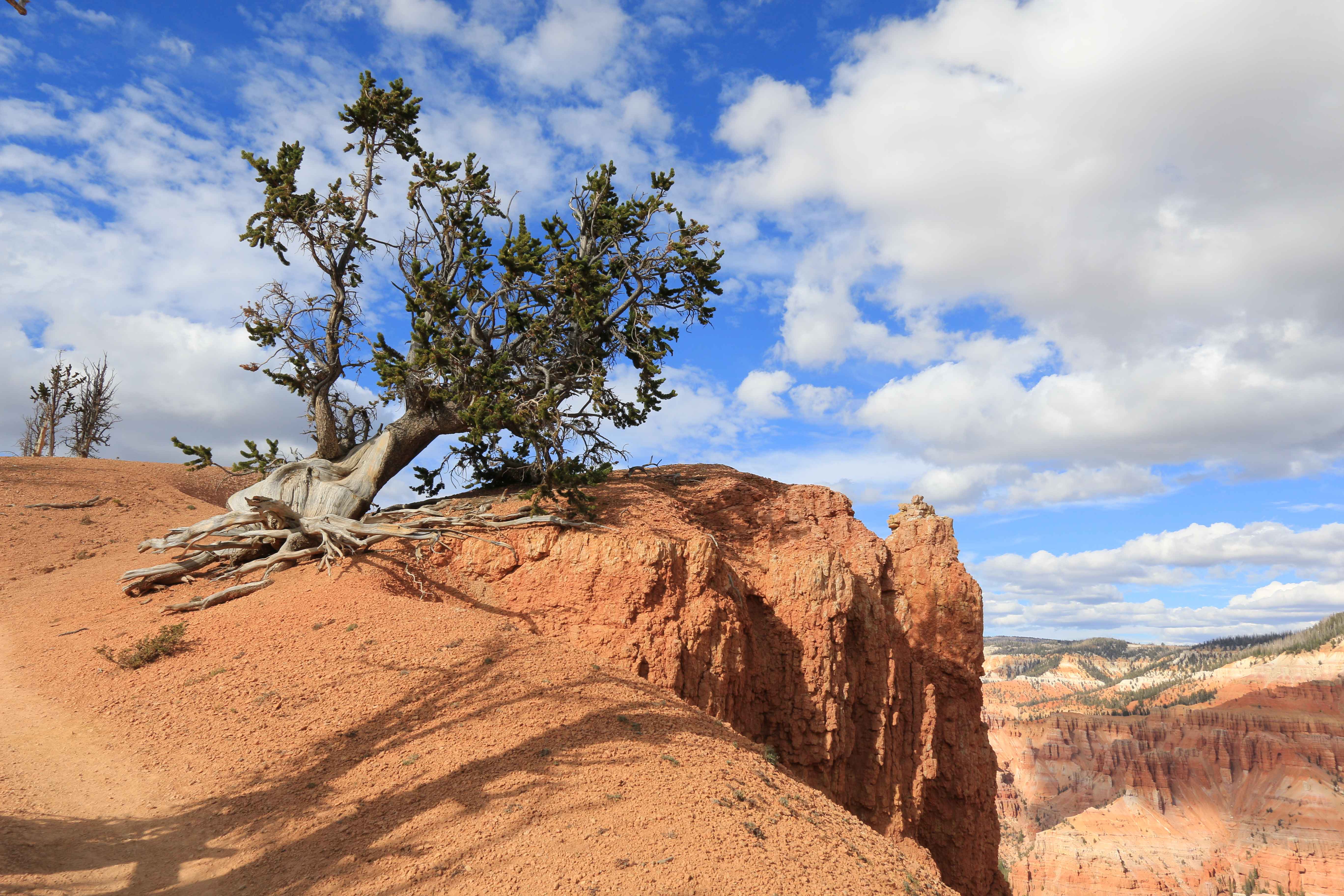 Cedar Breaks